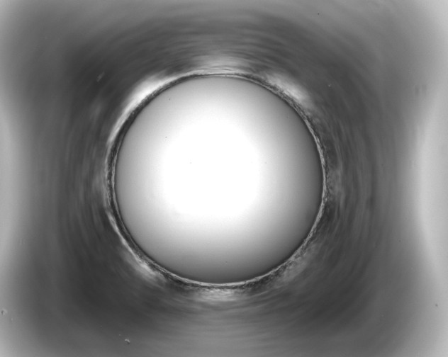 X0000085761470200703161107