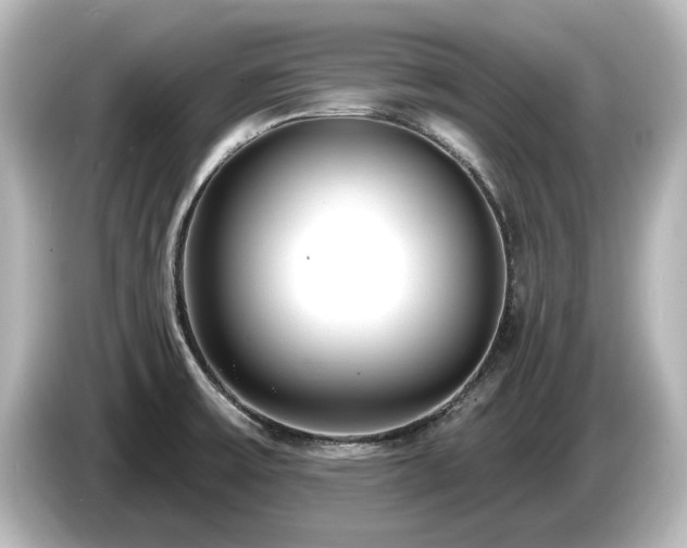 X0000085761475200703161106