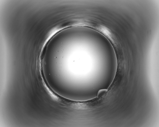 X0000085761476200703161106
