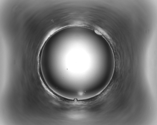 X0000085761479200703161106