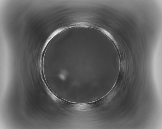 X0000085761482200703161106