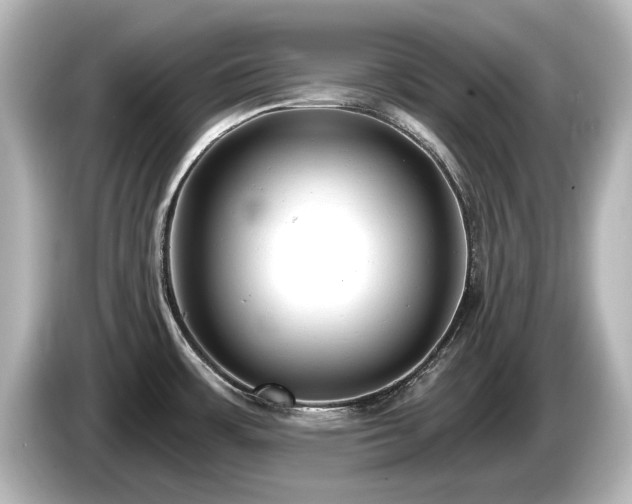 X0000085761483200703161106