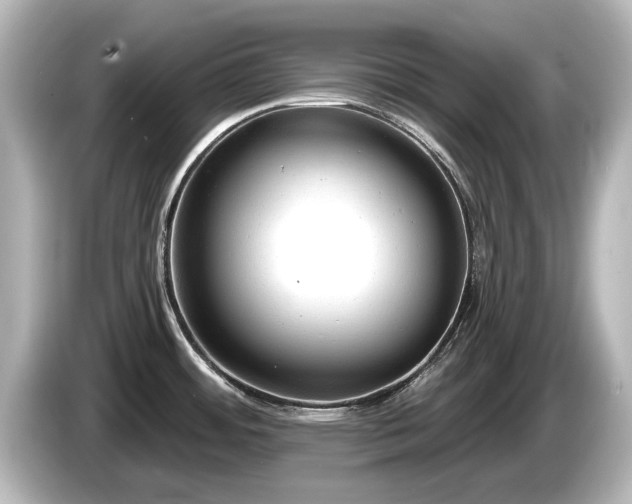 X0000085761484200703161106