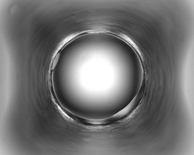 X0000085761485200703161106