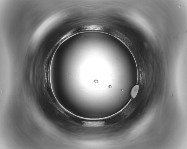 X0000085761487200703161106