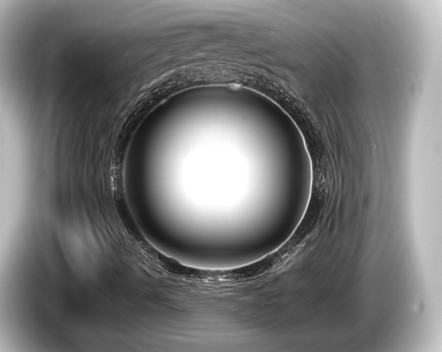 X0000085761490200703161106