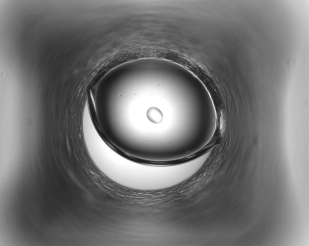 X0000085761492200703161106
