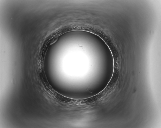 X0000085761493200703161106