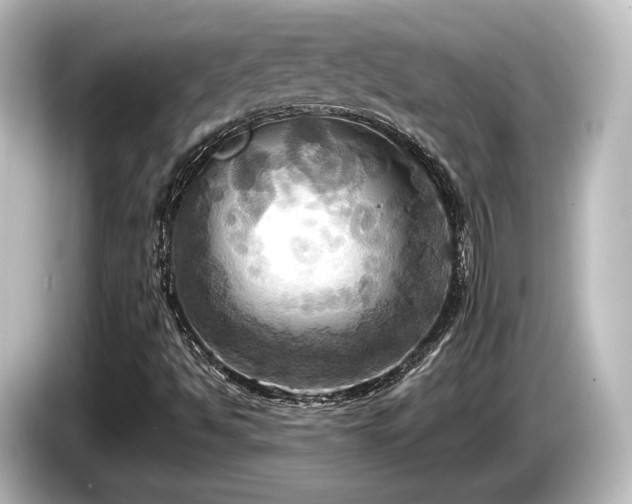 X0000085761494200703161106