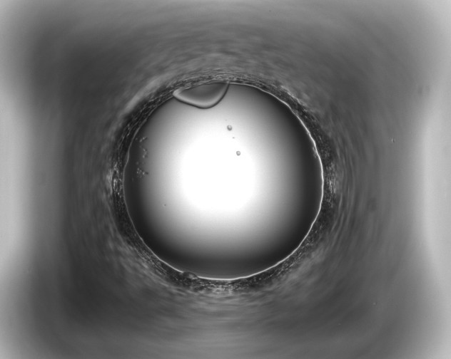 X0000085761495200703161106