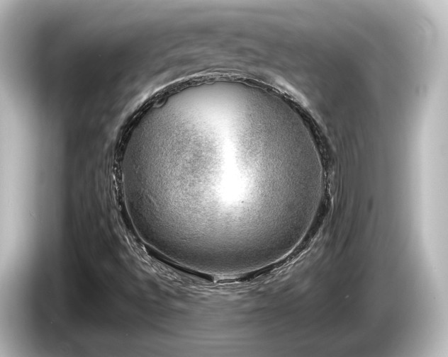 X0000085761496200703161106