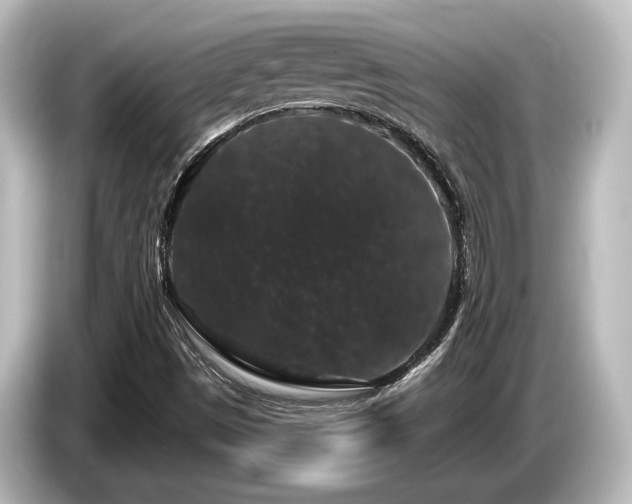 X0000085761497200703161106