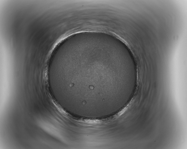 X0000085761498200703161106
