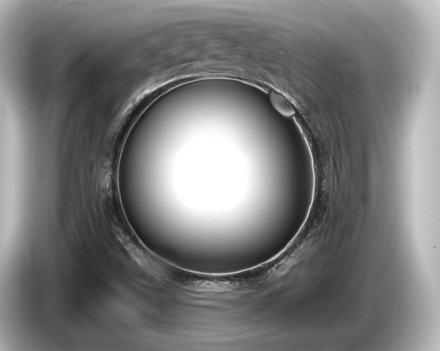 X0000085761499200703161106