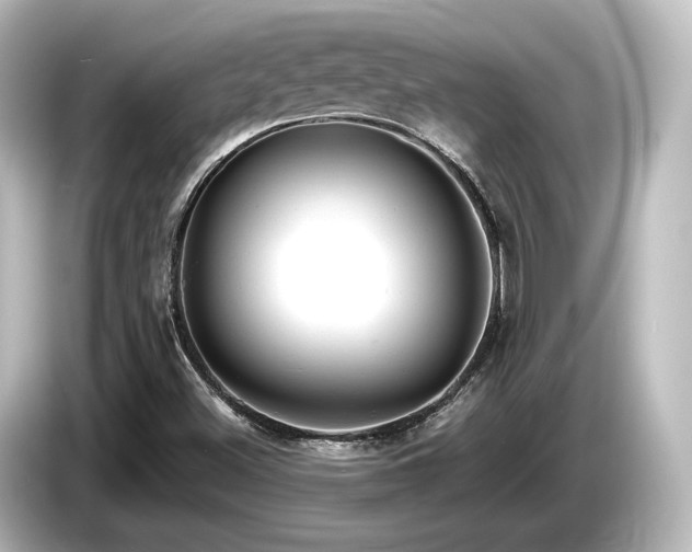 X0000085761500200703161106