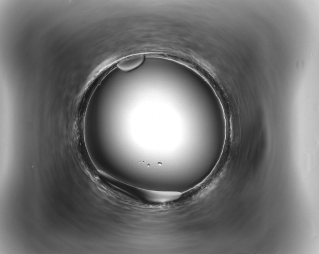 X0000085761501200703161106