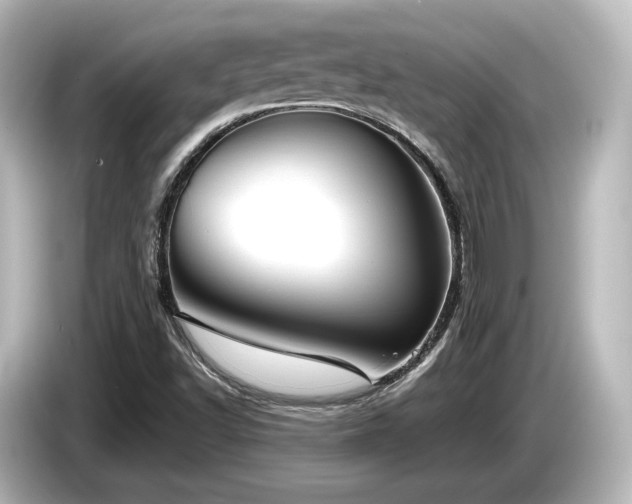 X0000085761502200703161106