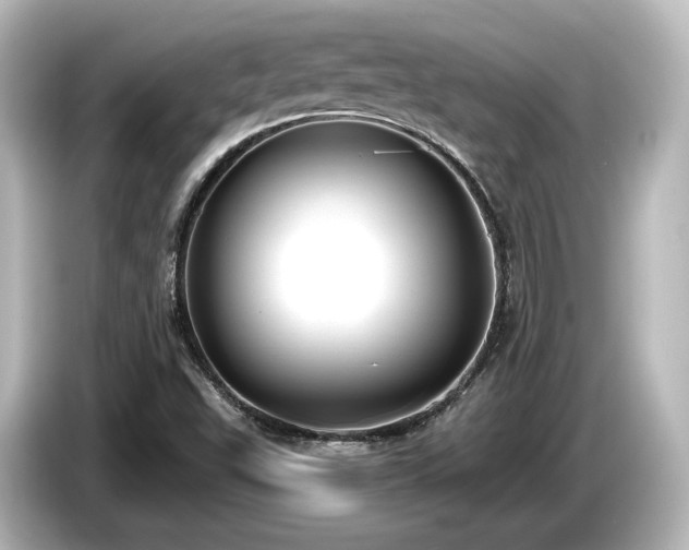 X0000085761503200703161106