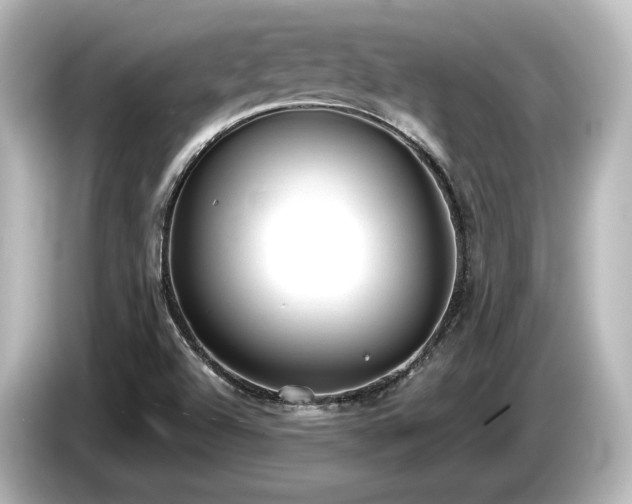 X0000085761504200703161106