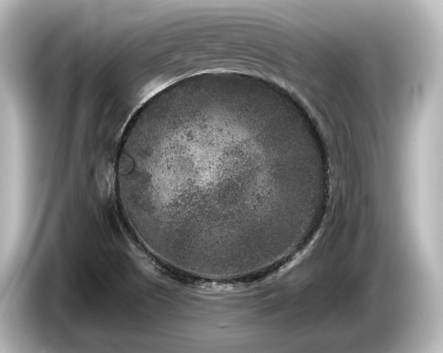 X0000085761505200703161106