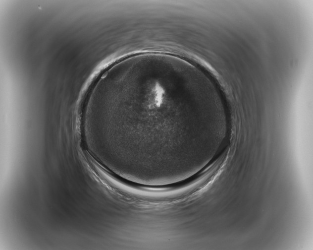 X0000085761506200703161106