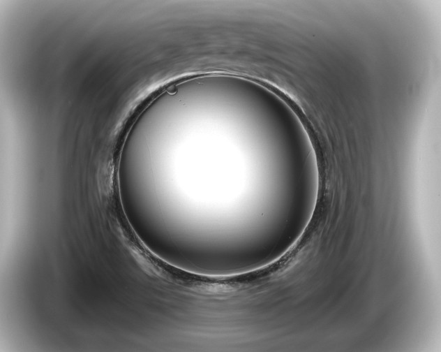 X0000085761507200703161106