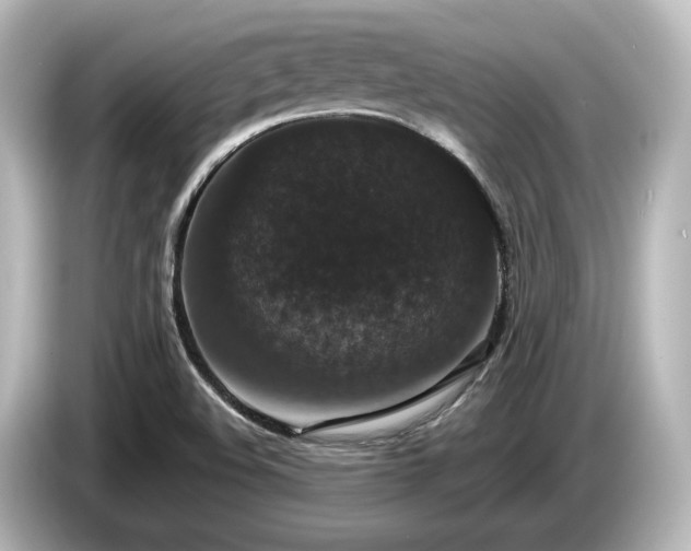 X0000085761508200703161106