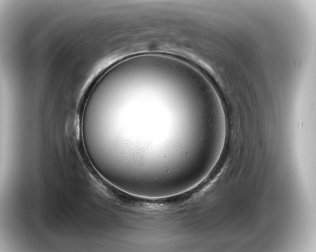 X0000085761509200703161106