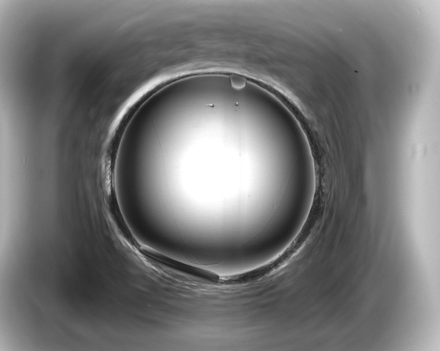 X0000085761510200703161106