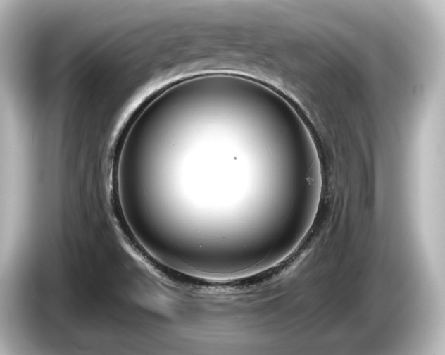 X0000085761511200703161106