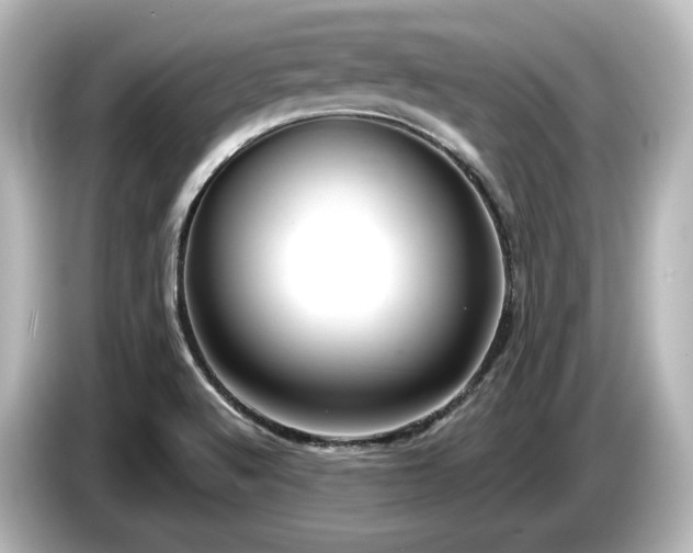 X0000085761512200703161106
