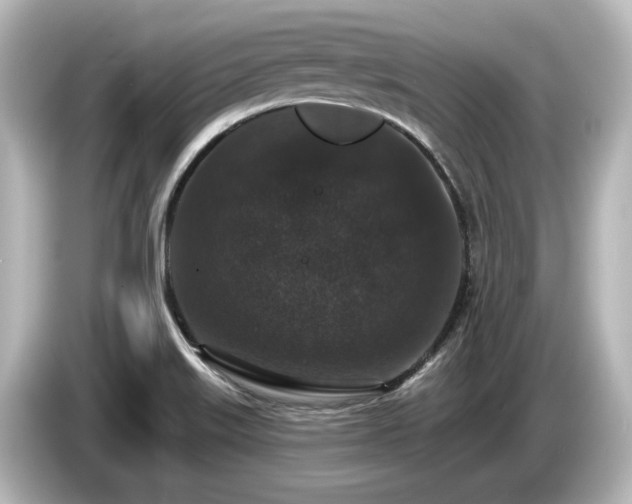 X0000085761515200703161106