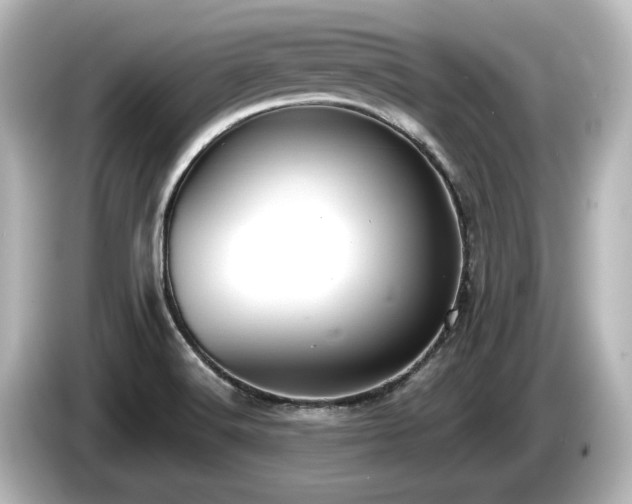 X0000085761516200703161106