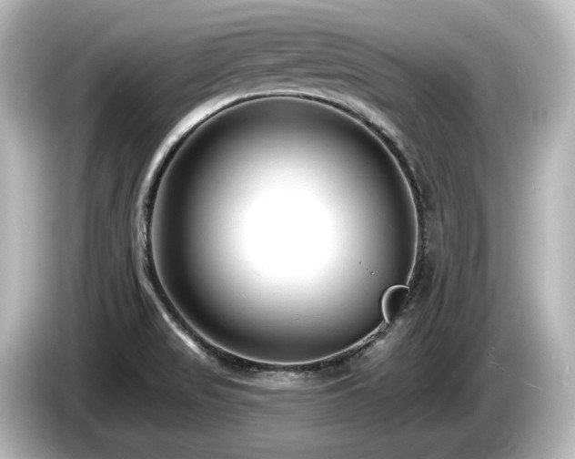 X0000085761517200703161106