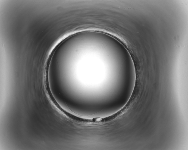 X0000085761518200703161106