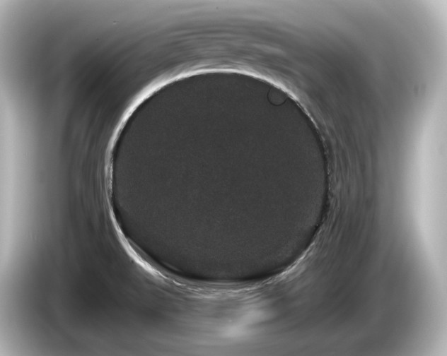 X0000085761519200703161106