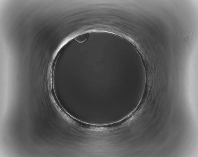 X0000085761522200703161106