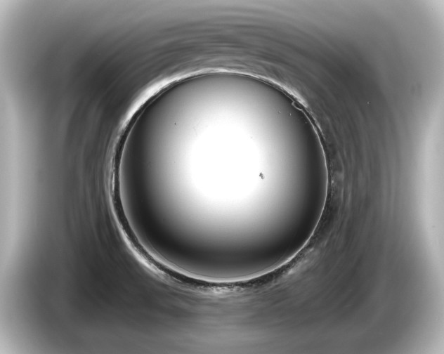X0000085761523200703161106
