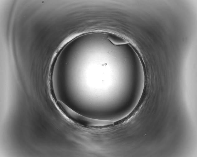 X0000085761525200703161106