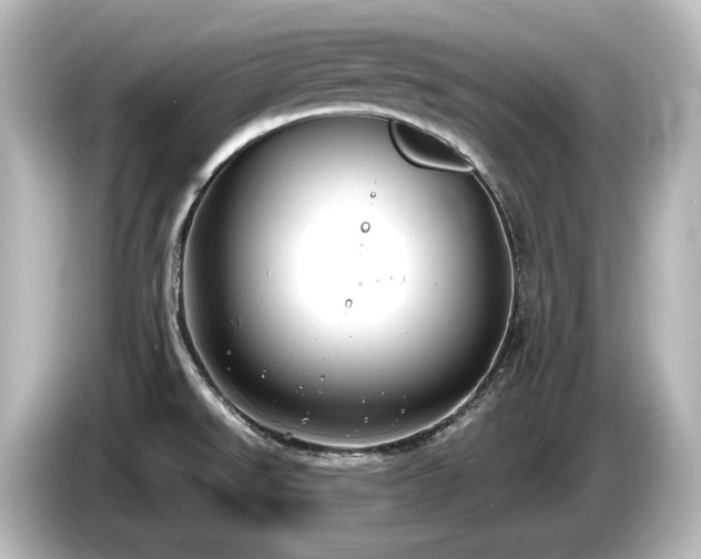 X0000085761526200703161106