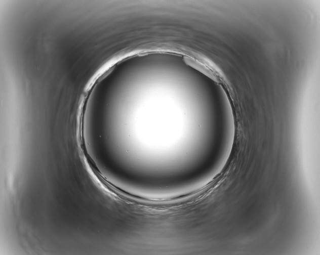 X0000085761528200703161106
