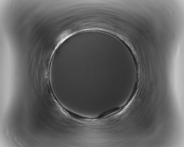 X0000085761529200703161106