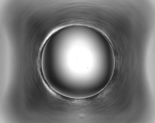 X0000085761531200703161106