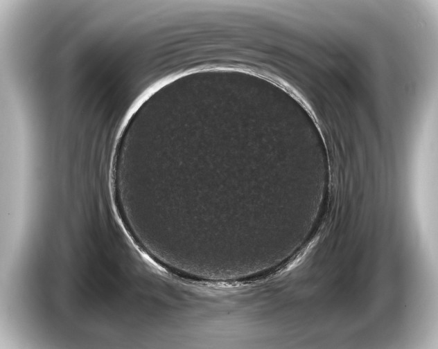 X0000085761533200703161106