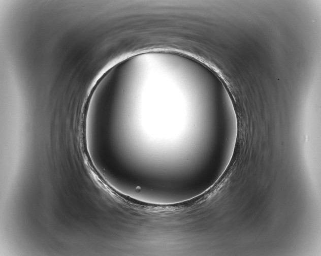 X0000085761534200703161106