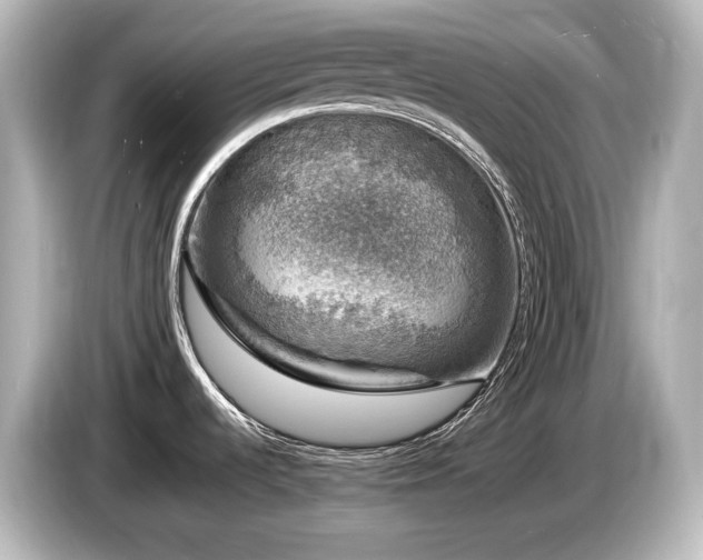 X0000085761536200703161106