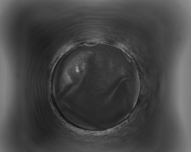X0000085760002200703231206