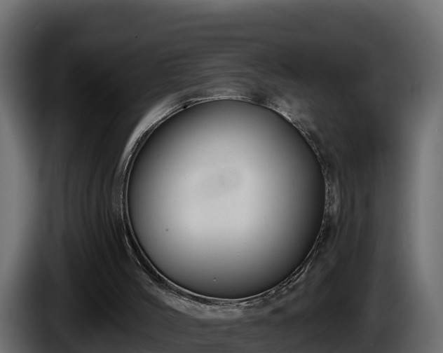 X0000085760004200703231205