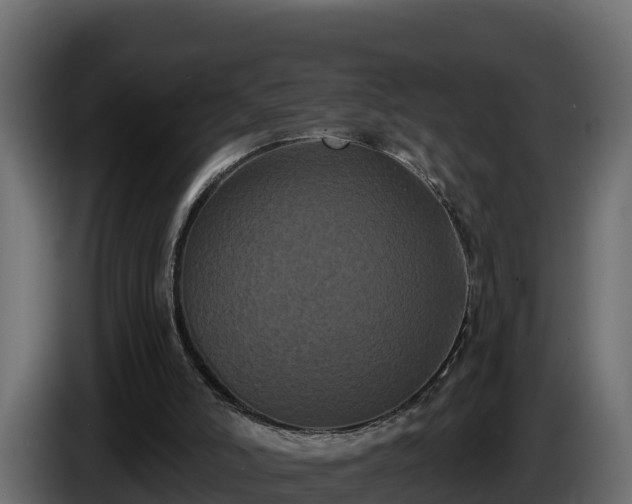 X0000085760006200703231205