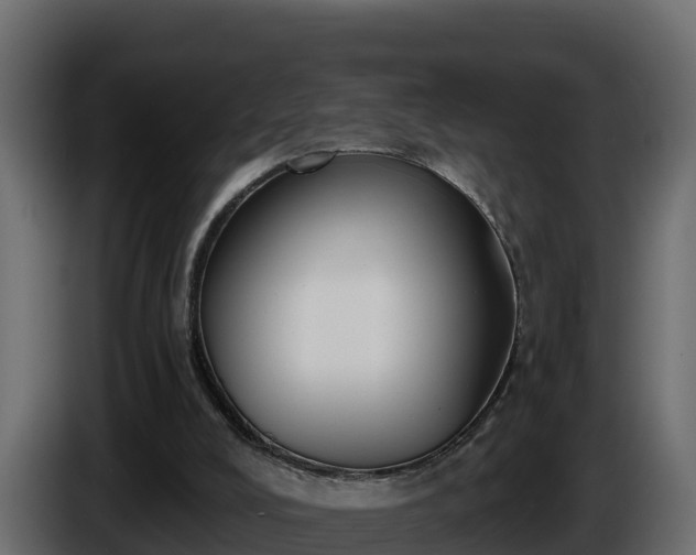 X0000085760008200703231205